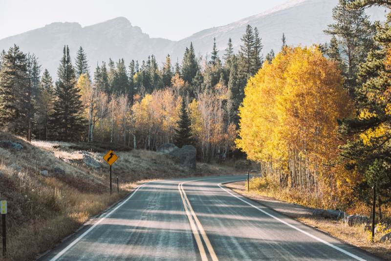 beautiful Colorado road with colorful leaves and mountain view