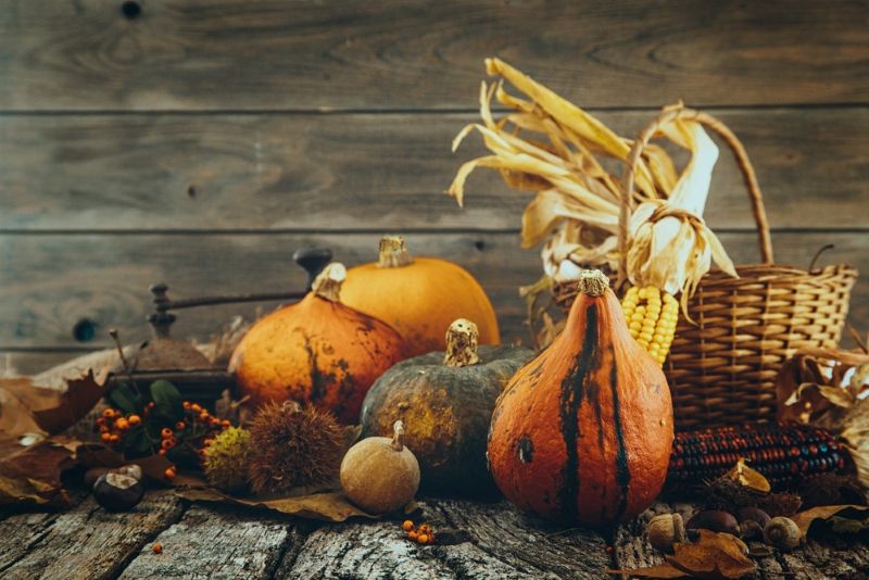 autumn time thanksgiving cornicopia